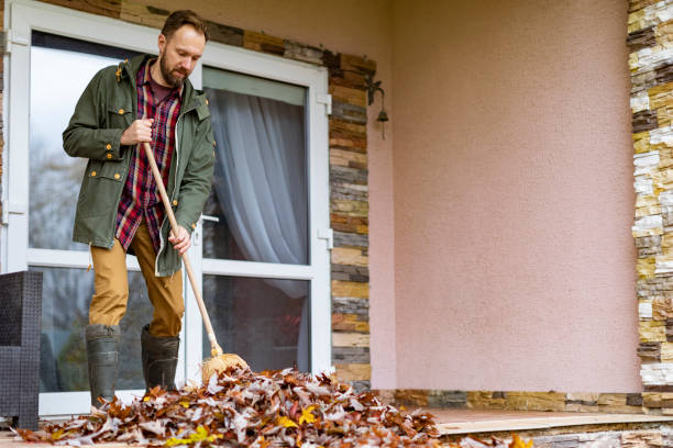 Best Basement Cleanout Services  in Deridder, LA